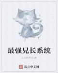 :ǿֳϵͳ