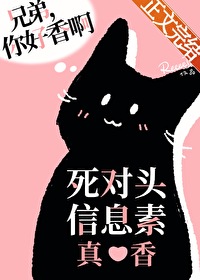 :ͷϢ