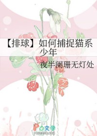 :[] β׽èϵ