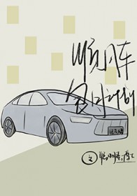 :˳糵¼ƻ
