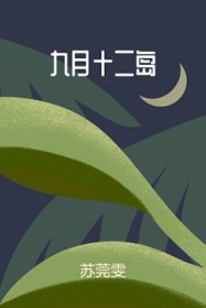 :ʮ