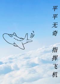 :ƽƽ棬ָӷɻ
