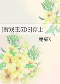 :[Ϸ5DS] 