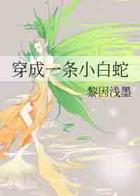 ʷ:һС