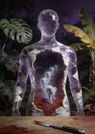 ��������:�ŵ�Ů