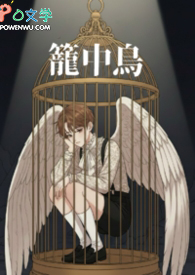 ��������:��������