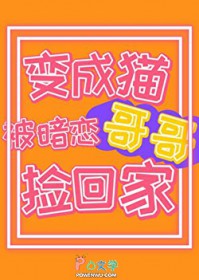 ��������:�٣����ר��ë��������