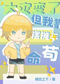 �ƻ�����:���ֱ��ˣ����ҿ���̯������