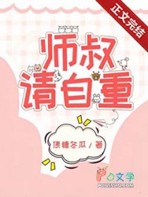 �ƻ�����:ʦ�壬�����ִ���������