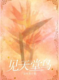 ��������:��������