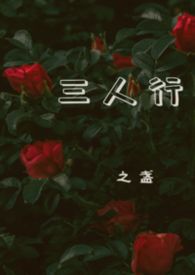 ��������:������(1V2)