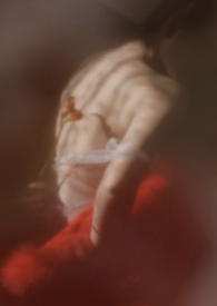 ��������:������ľ(У԰1v1)