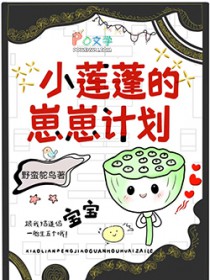 �ƻ�����:С�������ҽ��������