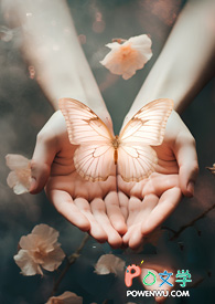 ��������:�������㣬����;�С�