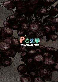 �ƻ�����:��л