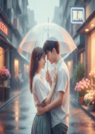 ��������:����