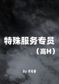 其他类型:特殊服务专员 (高H) 其他类型:特殊服务专员 (高H)