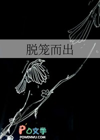 ��������:��������