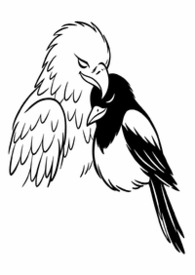 ��������:����