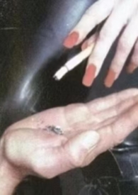 其他类型:失调甜(姐弟骨,高H) 其他类型:失调甜(姐弟骨,高H)