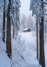 ��������:�ֳ�