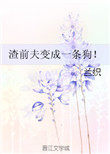 ʷ:ǰһ