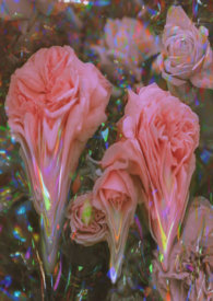 :ȫԱ̬ ǿƸ߳