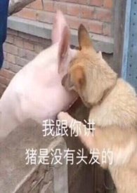 :ɽ