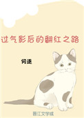 :Ӱķ֮·