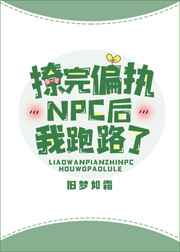 ʷ:ƫִNPC·