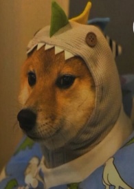:Ե㣨h