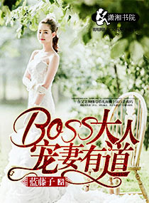:BOSS˳е
