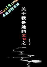 ʷ:NP֮һ