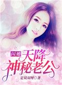 :飬콵Ϲ