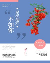 都市言情:星汉灿烂不如你 都市言情:星汉灿烂不如你