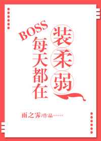 :BOSSÿ춼װ