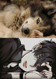 :Ӱ˵ϲ