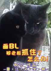 :BLϰץסô