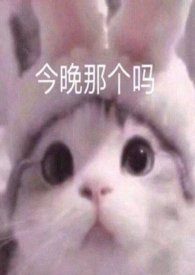 :101֣H