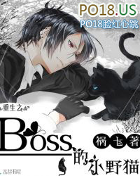 ʷ:֮bossСҰè