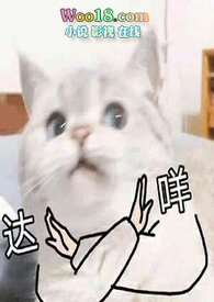 ƻ:֮쾯۹