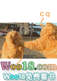 :1v2