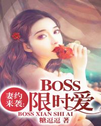 :ԼϮBossʱ