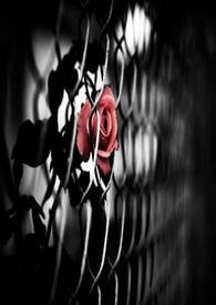 :֮ٱ