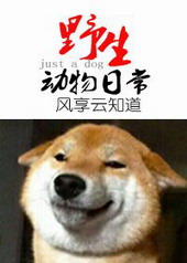 :ǰ޵