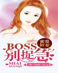 :۰ޣBOSS ׽