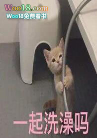 :ɡ컹ϻСʦø(NPH)