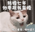 :Ҫ