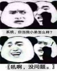 :ϵͳСݺ汦