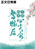 ʷ:޺˷ļ裨